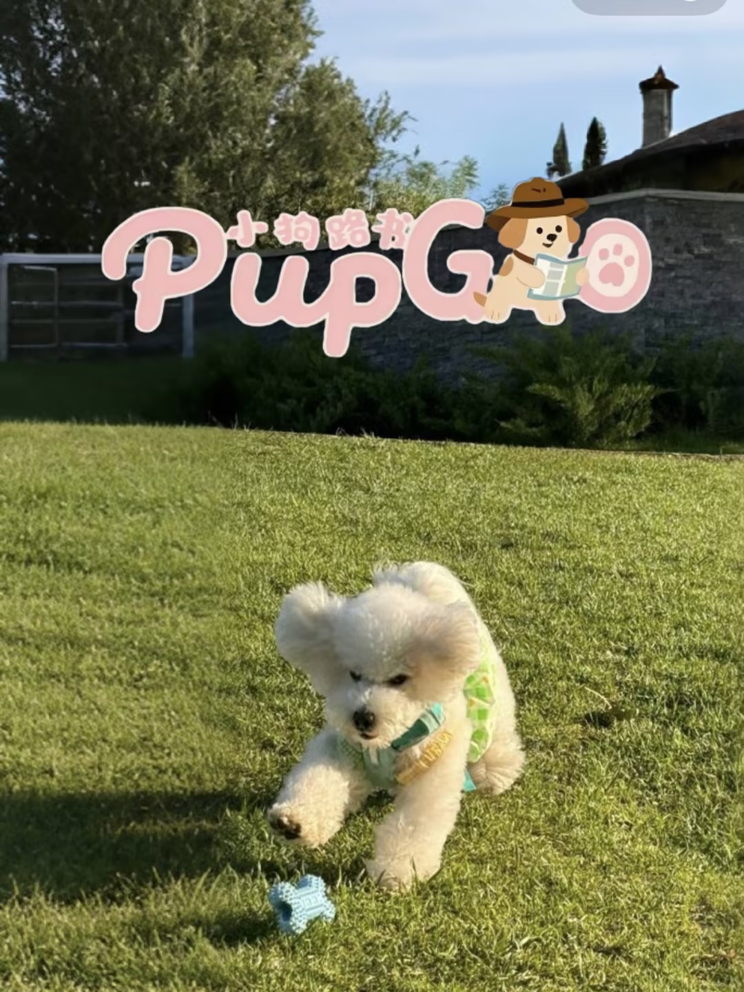 PupGo小狗路书小程序展示